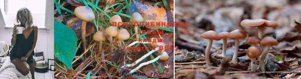 кокаин премиум Горнозаводск