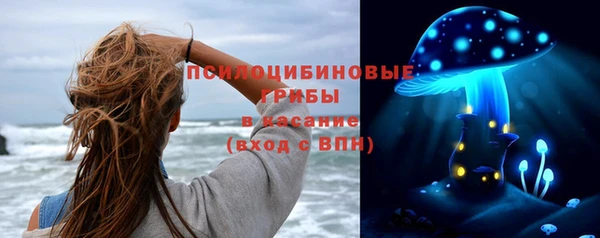 ГАЛЛЮЦИНОГЕННЫЕ ГРИБЫ Гусиноозёрск