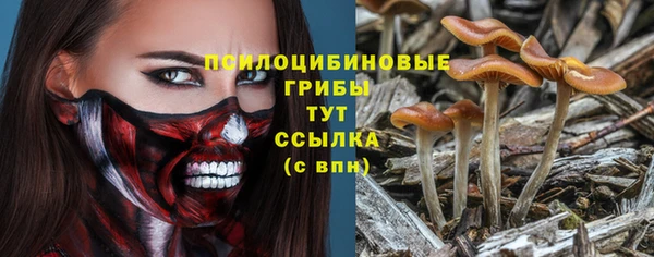 кокаин премиум Горнозаводск