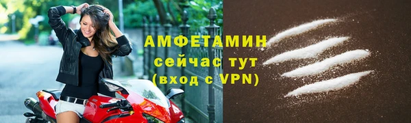индика Грязи