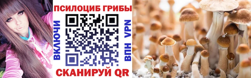 Псилоцибиновые грибы мицелий  Дальнереченск 